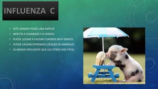 • ESTE GENERO POSEE UNA ESPECIE
• INFECTA A HUMANOS Y A CERDOS
• PUEDE LLEGAR A CAUSAR CUADROS MUY GRAVES
• PUEDE CAUSAR EPIDEMIAS LOCALES EN ANIMALES
• ES MENOS FRECUENTE QUE LOS OTROS DOS TIPOS
 
