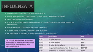 • AVES HUESPEDES NATURALES DE MUCHOS SUBTIPOS
• PUEDE TRANSMITIRSE A OTRAS ESPECIES, LO QUE PROVOCA GRANDES PIDEMIAS
• SALTA DIRECTAMENTE AL HUMANO
• LOS “A” SON LOS PATOGENOS MAS AGRESIVOS DE LOS TRES GENEROS QUE PUEDE PROVOCAR
ENFERMEDAD
• PUEDE SER DIVIDIDO EN VARIOS SEROTIPOS DIFERENTES
• LOS SEROTIPOS HAN SIDO CONFIRMADOS EN HUMANOS
• EN ORDEN POR EL NUMERO DE MUERTES CONOCIDO EN PANDEMIAS:
Los virus de la influenza A se clasifican
en subtipos de acuerdo a dos antígenos
de superficie: Hemaglutinina (H) y
Neuraminidasa (N)
 