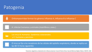Patogenia
Orthomyxoviridae forman los géneros Influenza A, Influenza B e Influenza C
A: infectan humanos y animales (mamíferos y aves.)
Los virus B: Humanos. Epidemias estacionales.
y C: humanos y porcinos.
El virus se fija a los receptores de las células del epitelio respiratorio, donde se replica en
las 48-72 horas siguientes
Prevención, diagnóstico y tratamiento de la Influenza estacional. Guía de Práctica Clínica: Guía de Referencia Rápida: México, CENETEC; 2020
 