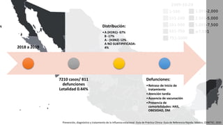 2018 a 2019
7210 casos/ 811
defunciones
Letalidad 0.44%
Distribución:
•A (H1N1)- 67%
B -17%
A - (H3N2) 12%
A NO SUBTIPIFICADA-
4%
Defunciones:
•Retraso de Inicio de
tratamiento
•Atención tardía
•Ausencia de vacunación
•Presencia de
comorbilidades: HAS,
OBESIDAD, DM
Prevención, diagnóstico y tratamiento de la Influenza estacional. Guía de Práctica Clínica: Guía de Referencia Rápida: México, CENETEC; 2020
 
