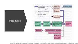 Patogenia
PatrickR. Murray, PhD., Ken S. Rosenthal, PhD., George S. Kobayashi, PhD., Michael A. Pfaller, MD. 2017. "MICROBIOLOGÍA MÉDICA"., 8tª Edición., Ed. Mosby
 