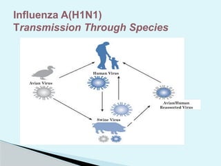Influenza Prevention and Treatment- PSM.pptx