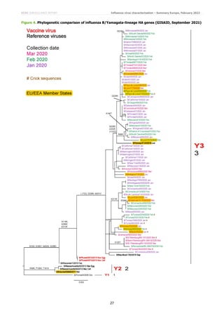 ECDC SURVEILLANCE REPORT Influenza virus characterisation – Summary Europe, February 2022
27
Figure 4. Phylogenetic comparison of influenza B/Yamagata-lineage HA genes (GISAID, September 2021)
 