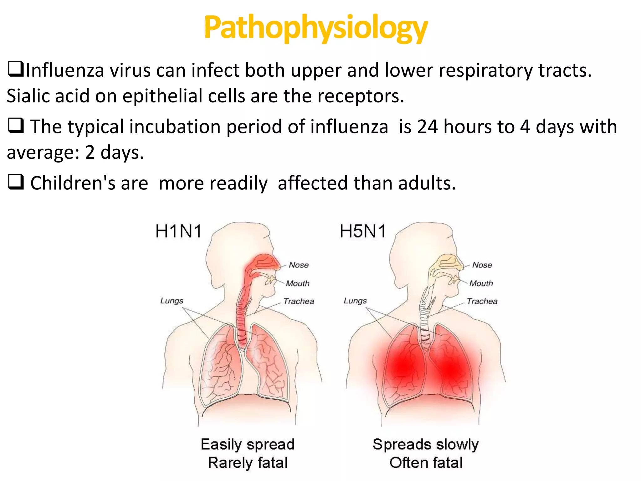 Influenza(Virology) | PPTX