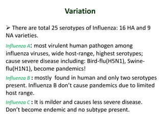 Flu Serotypes Influenza(Virology) | PPTX