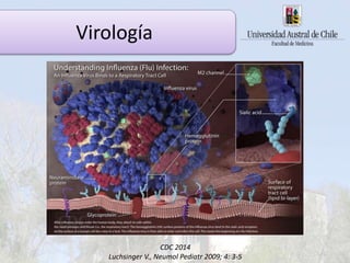 Virología
CDC 2014
Luchsinger V., Neumol Pediatr 2009; 4: 3-5
Virología
 