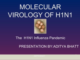 Department of Molecular Virology and MicrobiologyADITYA BHATT
MOLECULAR
VIROLOGY OF H1N1
The H1N1 Influenza Pandemic
PRESENTATION BY:ADITYA BHATT
 