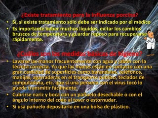 ¿Existe tratamiento para la influenza porcina ? Sí, si existe tratamiento sólo debe ser indicado por el médico Es importante beber muchos líquidos, evitar los cambios bruscos de temperatura y guardar reposo para recuperarse rápidamente.  ¿Cuáles son las medidas básicas de higiene? Lavarse las manos frecuentemente con agua y jabón con la técnica correcta. Ya que las manos están en contacto con una gran cantidad de superficies como barandales, teléfonos, manijas, agarraderas en el transporte público, teclados de computadora, etc. que si una persona con el virus tocó lo puede transmitir fácilmente. Cubrirse nariz y boca con un pañuelo desechable o con el ángulo interno del codo al toser o estornudar. Si usa pañuelo depositarlo en una bolsa de plástico. 