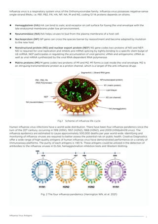 Influenza-Virus-Antigens.pdf