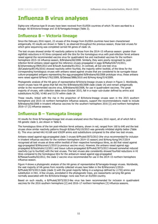 ECDC SURVEILLANCE REPORT Influenza virus characterisation, March 2016
11
Influenza B virus analyses
Eighty-one influenza type B viruses have been received from EU/EEA countries of which 76 were ascribed to a
lineage: 66 B/Victoria-lineage and 10 B/Yamagata-lineage (Table 2).
Influenza B – Victoria lineage
Since the February 2016 report, 23 viruses of this lineage from EU/EEA countries have been characterised
antigenically. HI results are shown in Table 5; as observed throughout the previous season, those test viruses for
which gene sequencing was completed carried HA genes of clade 1A.
The test viruses showed similar HI reactivity patterns to those from the 2014–15 influenza season: greater than
eightfold reductions in HI titres compared with the titre for the homologous virus with post-infection ferret antisera
raised against the recommended vaccine virus for quadrivalent live and inactivated vaccines for the northern
hemisphere 2015–16 influenza season, B/Brisbane/60/2008. Similarly, they were poorly recognised by post-
infection ferret antisera raised against the reference viruses propagated in eggs B/Malta/636714/2011,
B/Johannesburg/3964/2013 and B/South Australia/81/2012. In contrast, all but one test virus
(B/Catalonia/8514S/2016) showed reactivity within fourfold, the majority within twofold, of the titres for the
corresponding homologous viruses with antisera raised against viruses that are considered to be surrogate tissue
culture-propagated antigens representing the egg-propagated B/Brisbane/60/2008 prototype virus; these antisera
were raised against B/Paris/1762/2009, B/Odessa/3886/2010 and B/Hong Kong/514/2009.
Phylogenetic analysis of the HA gene of representative B/Victoria lineage viruses is shown in Figure 3. Worldwide,
recent viruses have HA genes that fall into the B/Brisbane/60/2008 clade (clade 1A) and remain antigenically
similar to the recommended vaccine virus, B/Brisbane/60/2008, for use in quadrivalent vaccines. The great
majority of viruses, with collection dates since October 2015, fall in a major sub-cluster defined by amino acid
substitutions N129D, V146I and I117V within clade 1A.
These results, linked with the rise in the proportion of B/Victoria-lineage viruses seen in the 2015 southern
hemisphere and 2015–16 northern hemisphere influenza seasons, support the recommendations made to include
B/Brisbane/60/2008 in trivalent influenza vaccines for the southern hemisphere 2016 [2] and northern hemisphere
2016–17 [3] influenza seasons.
Influenza B – Yamagata lineage
HI results for three B/Yamagata-lineage test viruses analysed since the February 2016 report, all of which fell in
HA genetic clade 3, are shown in Table 6.
The homologous titres of the ten post-infection ferret antisera, shown in red, ranged from 160 to 640 and the test
viruses show similar reactivity patterns though B/Italy-FVG/19/2015 was generally inhibited slightly better (Table
6). This virus carried HA1 K116R and V263M amino acid substitutions compared to the other two test viruses.
Antisera raised against egg-propagated clade 3 viruses B/Phuket/3073/2013 (the virus recommended for inclusion
in trivalent influenza vaccines for the northern hemisphere 2014–15 season) and B/Hong Kong/3417/2014
recognised all test viruses at titres within twofold of their respective homologous titres, as did that raised against
egg-propagated B/Wisconsin/1/2010 (a previous vaccine virus). However, the antisera raised against egg-
propagated B/Stockholm/12/2011 and tissue culture-propagated B/Phuket/3073/2013 showed somewhat reduced
reactivity (up to fourfold) with the test viruses. The test viruses also consistently showed fourfold reductions in HI
titres compared to the homologous titre for the antiserum raised against egg-propagated
B/Massachusetts/02/2012, the clade 2 vaccine virus recommended for use in the 2014–15 northern hemisphere
influenza season.
Figure 4 shows a phylogenetic analysis of the HA genes of representative B/Yamagata-lineage viruses. Worldwide,
the vast majority of HA genes from recently collected viruses have fallen in the B/Wisconsin/1/2010–
B/Phuket/3073/2013 clade (clade 3) with the great majority falling in a subgroup defined by L172Q amino acid
substitution in HA1. A few viruses, annotated in the phylogenetic trees, are reassortants carrying NA genes
normally associated with the B/Victoria-lineage: none was from an EU/EEA country.
Based on such results, a B/Phuket/3073/2013-like virus has been recommended for inclusion in quadrivalent
vaccines for the 2016 southern hemisphere [2] and 2016–17 northern hemisphere [3] influenza seasons.
 