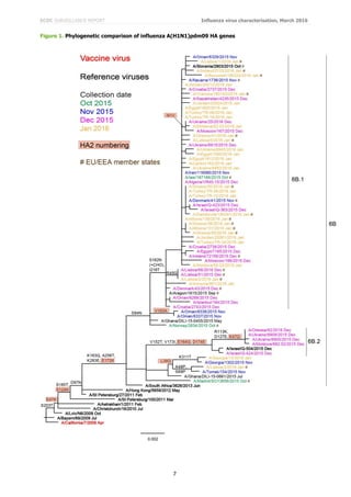 ECDC SURVEILLANCE REPORT Influenza virus characterisation, March 2016
7
Figure 1. Phylogenetic comparison of influenza A(H1N1)pdm09 HA genes
 