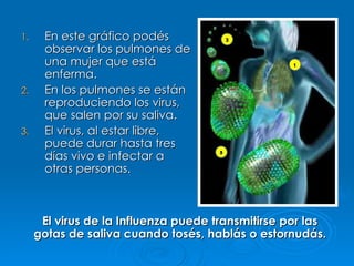 1.    En este gráfico podés
      observar los pulmones de
      una mujer que está
      enferma.
2.    En los pulmones se están
      reproduciendo los virus,
      que salen por su saliva.
3.    El virus, al estar libre,
      puede durar hasta tres
      días vivo e infectar a
      otras personas.



      El virus de la Influenza puede transmitirse por las
     gotas de saliva cuando tosés, hablás o estornudás.
 
