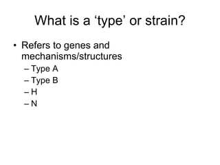 What is a ‘type’ or strain? Refers to genes and mechanisms/structures Type A Type B H N 