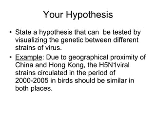 Your Hypothesis State a hypothesis that can  be tested by visualizing the genetic between different strains of virus. Example : Due to geographical proximity of China and Hong Kong, the H5N1viral strains circulated in the period of 2000-2005 in birds should be similar in both places. 