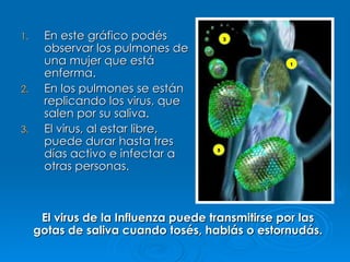 En este gráfico podés observar los pulmones de una mujer que está enferma. En los pulmones se están replicando los virus, que salen por su saliva. El virus, al estar libre, puede durar hasta tres días activo e infectar a otras personas.  El virus de la Influenza puede transmitirse por las gotas de saliva cuando tosés, hablás o estornudás. 