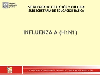 SECRETARÍA DE EDUCACIÓN Y CULTURA SUBSECRETARÍA DE EDUCACIÓN BÁSICA INFLUENZA A (H1N1)   