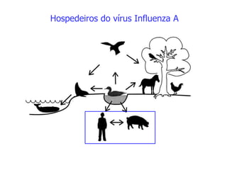 Hospedeiros do vírus Influenza A
 
