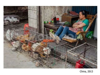China, 2013
 