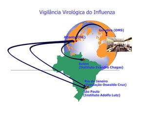 Vigilância Virológica do Influenza
Atlanta(CDC)
Genebra (OMS)
Belém
(Instituto Evandro Chagas)
Rio de Janeiro
(Fundação Oswaldo Cruz)
São Paulo
(Instituto Adolfo Lutz)
 