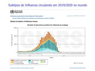 Subtipos de Influenza circulando em 2019/2020 no mundo
 
