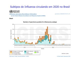Subtipos de Influenza circulando em 2020 no Brasil
 