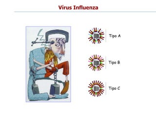 Vírus Influenza
Tipo A
Tipo B
Tipo C
 