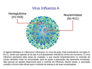 Vírus Influenza A
Hemaglutinina
(H1-H18)
Neuraminidase
(N1-N11)
O agente etiológico é o Myxovirus influenzae, ou vírus da gripe. Este subdivide-se nos tipos A,
B e C, sendo que apenas os do tipo A e B apresentam relevância clínica em humanos. O vírus
influenza apresenta altas taxas de mutação, o que resulta freqüentemente na inserção de
novas variantes virais na comunidade, para as quais a população não apresenta imunidade.
São poucas as opções disponíveis para o controle da influenza. Dentre essas, a vacinação
constitui a forma mais eficaz para o controle da doença e de suas complicações.
 