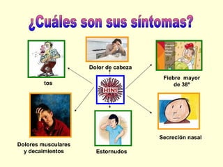 Dolor de cabeza
Fiebre mayor
de 38º

tos

Secreción nasal
Dolores musculares
y decaimientos

Estornudos

 