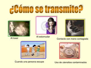 Al toser

Al estornudar

Cuando una persona escupe

Contacto con mano contagiada

Uso de utensilios contaminados

 