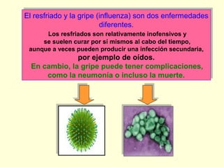 El resfriado y la gripe (influenza) son dos enfermedades
El resfriado y la gripe (influenza) son dos enfermedades
diferentes.
diferentes.
Los resfriados son relativamente inofensivos y
Los resfriados son relativamente inofensivos y
se suelen curar por sí mismos al cabo del tiempo,
se suelen curar por sí mismos al cabo del tiempo,
aunque a veces pueden producir una infección secundaria,
aunque a veces pueden producir una infección secundaria,

por ejemplo de oídos.
por ejemplo de oídos.
En cambio, la gripe puede tener complicaciones,
En cambio, la gripe puede tener complicaciones,
como la neumonía o incluso la muerte.
como la neumonía o incluso la muerte.

 