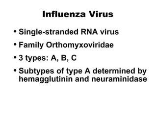 Influenza Virus Single-stranded RNA virus Family Orthomyxoviridae 3 types: A, B, C Subtypes of type A determined by hemagglutinin and neuraminidase 