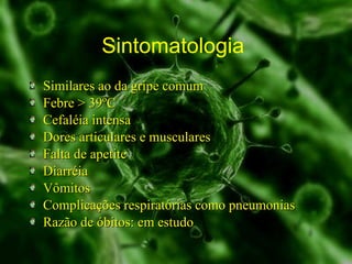 Sintomatologia  Similares ao da gripe comum Febre > 39ºC Cefaléia intensa Dores articulares e musculares Falta de apetite Diarréia Vômitos Complicações respiratórias como pneumonias Razão de óbitos: em estudo 