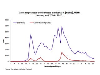 Fuente: Secretaria de Salud Federal. 
 