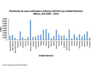 Fuente: Secretaria de Salud Federal. 
 
