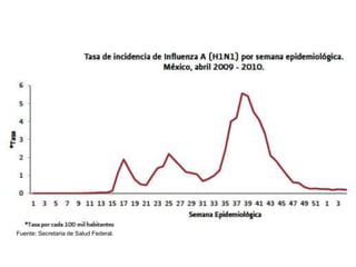Fuente: Secretaria de Salud Federal. 
 