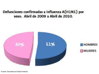Fuente: Secretaria de Salud Federal. 
 