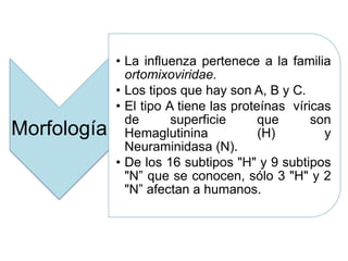 Morfología 
• La influenza pertenece a la familia 
ortomixoviridae. 
• Los tipos que hay son A, B y C. 
• El tipo A tiene las proteínas víricas 
de superficie que son 
Hemaglutinina (H) y 
Neuraminidasa (N). 
• De los 16 subtipos "H" y 9 subtipos 
"N” que se conocen, sólo 3 "H" y 2 
"N” afectan a humanos. 
 