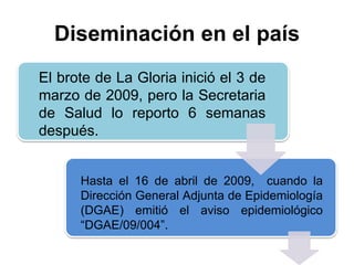 Diseminación en el país 
El brote de La Gloria inició el 3 de 
marzo de 2009, pero la Secretaria 
de Salud lo reporto 6 semanas 
después. 
Hasta el 16 de abril de 2009, cuando la 
Dirección General Adjunta de Epidemiología 
(DGAE) emitió el aviso epidemiológico 
“DGAE/09/004”. 
 