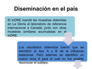 Diseminación en el país 
El InDRE mandó las muestras obtenidas 
en La Gloria al laboratorio de referencia 
internacional a Canadá, junto con otras 
muestras similares acumuladas en el 
InDRE. 
Los resultados obtenidos fueron que se 
identificó el tipo A y B de la influenza 
estacional. Pero además se identificó un 
nuevo virus A para el cual no fue posible 
reconocer el subtipo. 
 