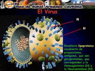El Virus N H Envoltorio  lipoproteico  recubierto de proyecciones, antígenos, que son glicoproteínas, que  corresponden a la Hemoaglutinina (H) y la Neuraminidasa (N). 