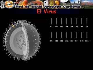 El Virus 
