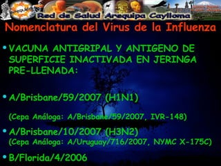 Nomenclatura del Virus de la Influenza ,[object Object],[object Object],[object Object],[object Object]