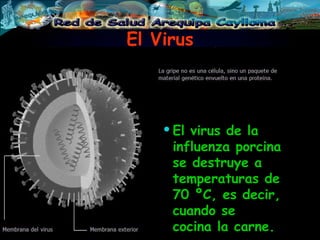El Virus ,[object Object]