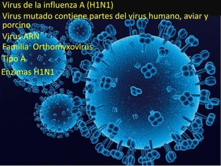 Virus de la influenza A (H1N1)
Virus mutado contiene partes del virus humano, aviar y
porcino
Virus ARN
Familia Orthomyxovirus
Enzimas H1N1
Tipo A
 