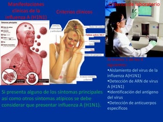 Manifestaciones
clínicas de la
influenza A (H1N1)
Criterios clínicos
Criterios de laboratorio
Al menos 1 de los 4
siguientes:
Aislamiento del virus de la
influenza A(H1N1)
Detección de ARN de virus
A (H1N1)
Identificación del antígeno
del virus
Detección de anticuerpos
específicos
Si presenta alguno de los síntomas principales
así como otros síntomas atípicos se debe
considerar que presentar influenza A (H1N1).
 