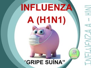 “ GRIPE SUÍNA” INFLUENZA A (H1N1)‏ 
