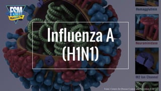 Influenza A
(H1N1)
Fonte: Centers for Disease Control and Prevention (CDC)
 