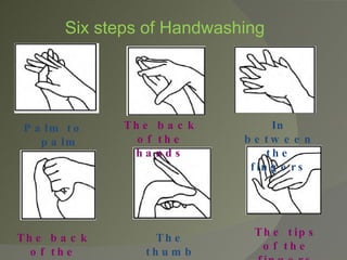 Palm to palm The back of the hands In between the fingers The back of the fingers The thumbs The tips of the fingers Six steps of Handwashing 