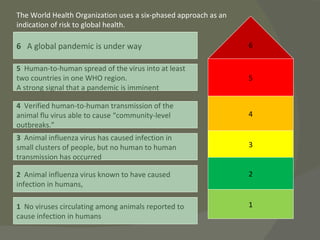 1 5 2 3 4 6 1   No viruses circulating among animals reported to  cause infection in humans  2   Animal influenza virus known to have caused  infection in humans,  3   Animal influenza virus has caused infection in  small clusters of people, but no human to human  transmission has occurred 4   Verified human-to-human transmission of the  animal flu virus able to cause “community-level  outbreaks.”  5   Human-to-human spread of the virus into at least  two countries in one WHO region. A strong signal that a pandemic is imminent  6   A global pandemic is under way  The World Health Organization uses a six-phased approach as an indication of risk to global health. 