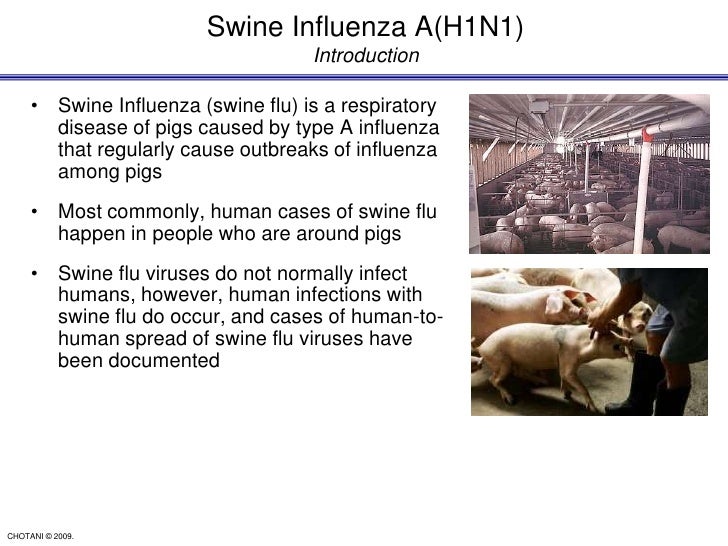 Influenza A H1 Ni Latest